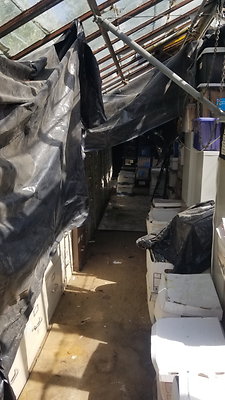 6931 greenhouse 1